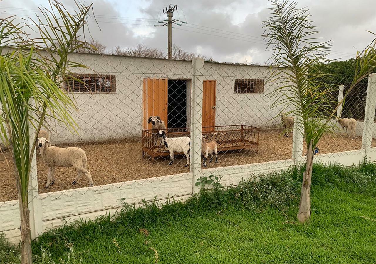 Palm Grove Farm Villa Tit Mellil Buitenkant foto